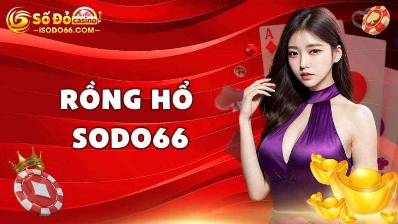 rồng hổ sodo66