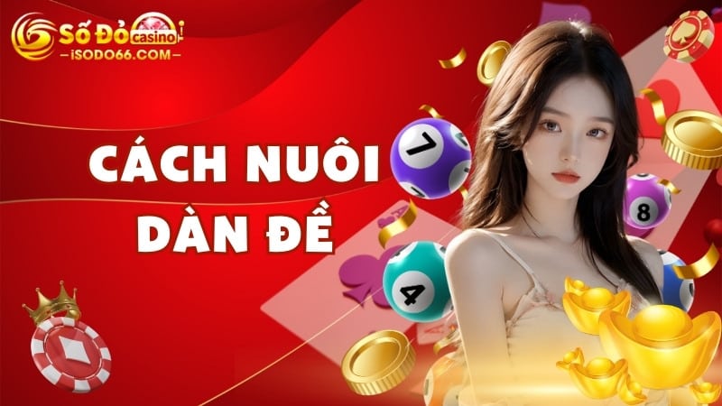 cách nuôi dàn đề SODO66