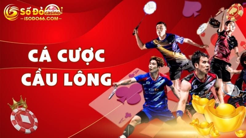 cá cược cầu lông