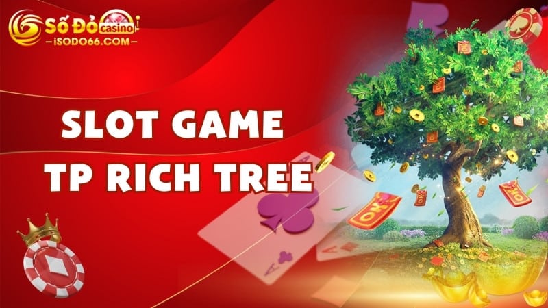 TP Rich Tree sodo66